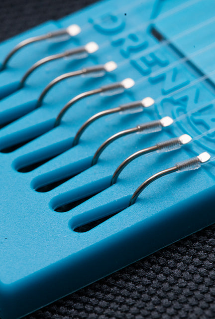 HTN Plate 6' Margin Carp 12