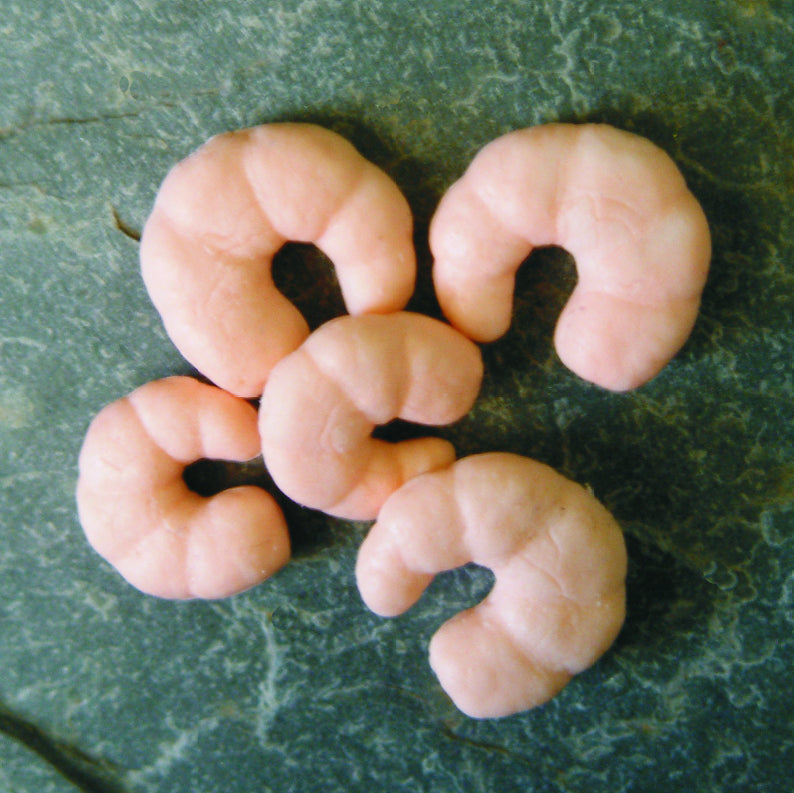 EnterPrise Imitation Prawns
