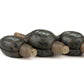 Matrix Inline Pellet Bomb 10g x3