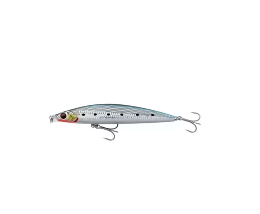 Gravity shallow 10 cm 14g sardine