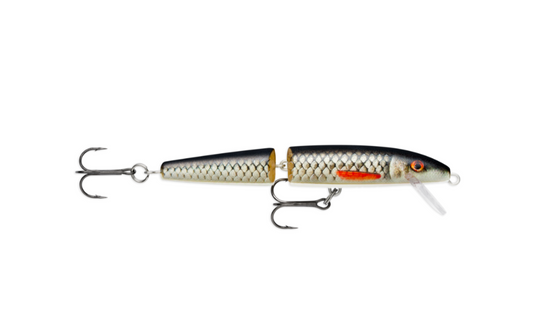 Rapala Live Roach J11