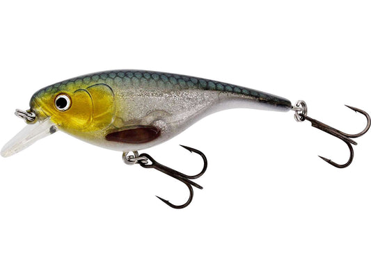 Bassbite Crankbait
